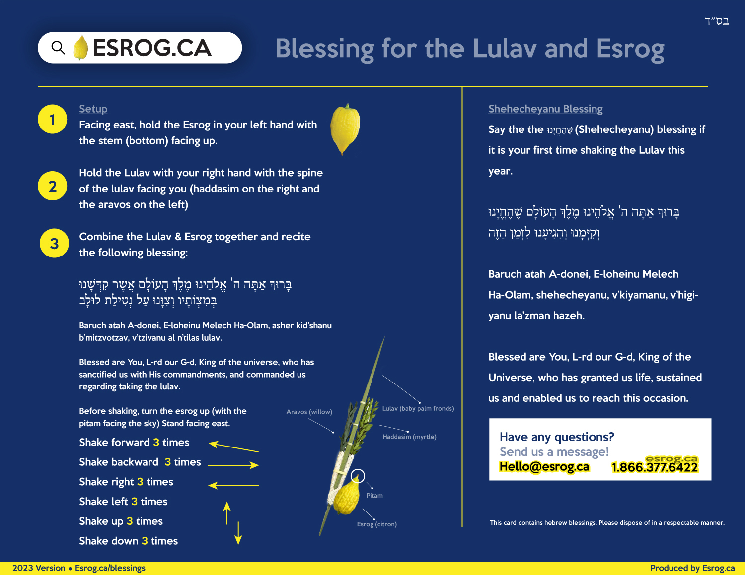lulav & esrog guide to shaking the lulav